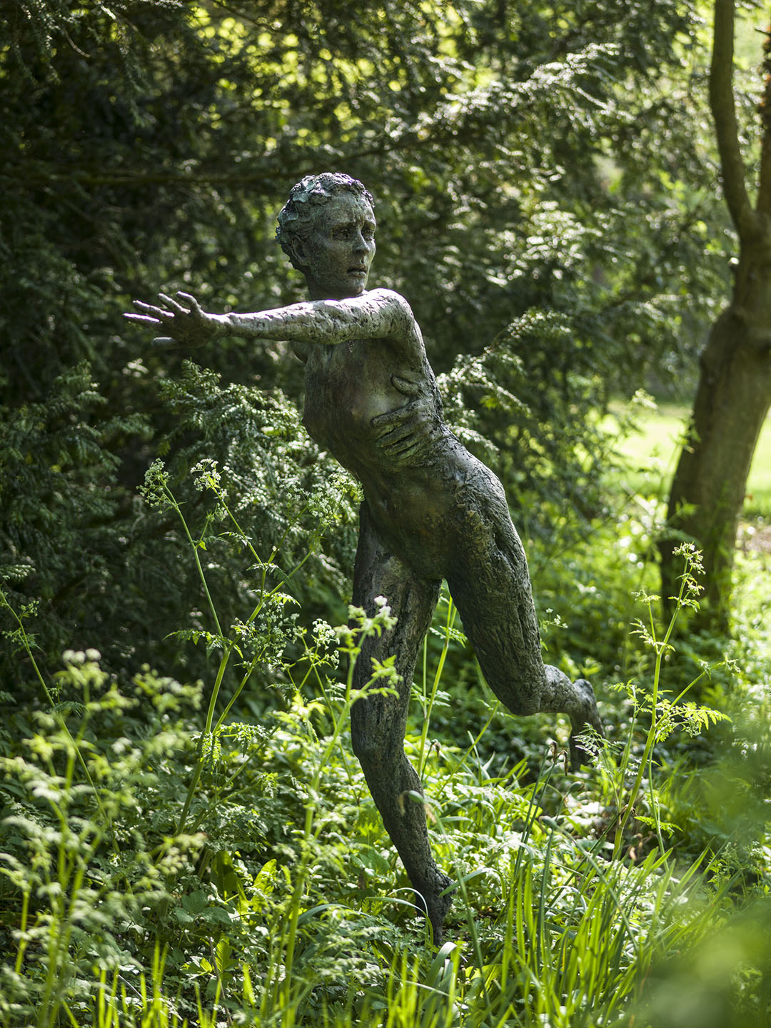 Daphne, Sculpture by Louisa Forbes