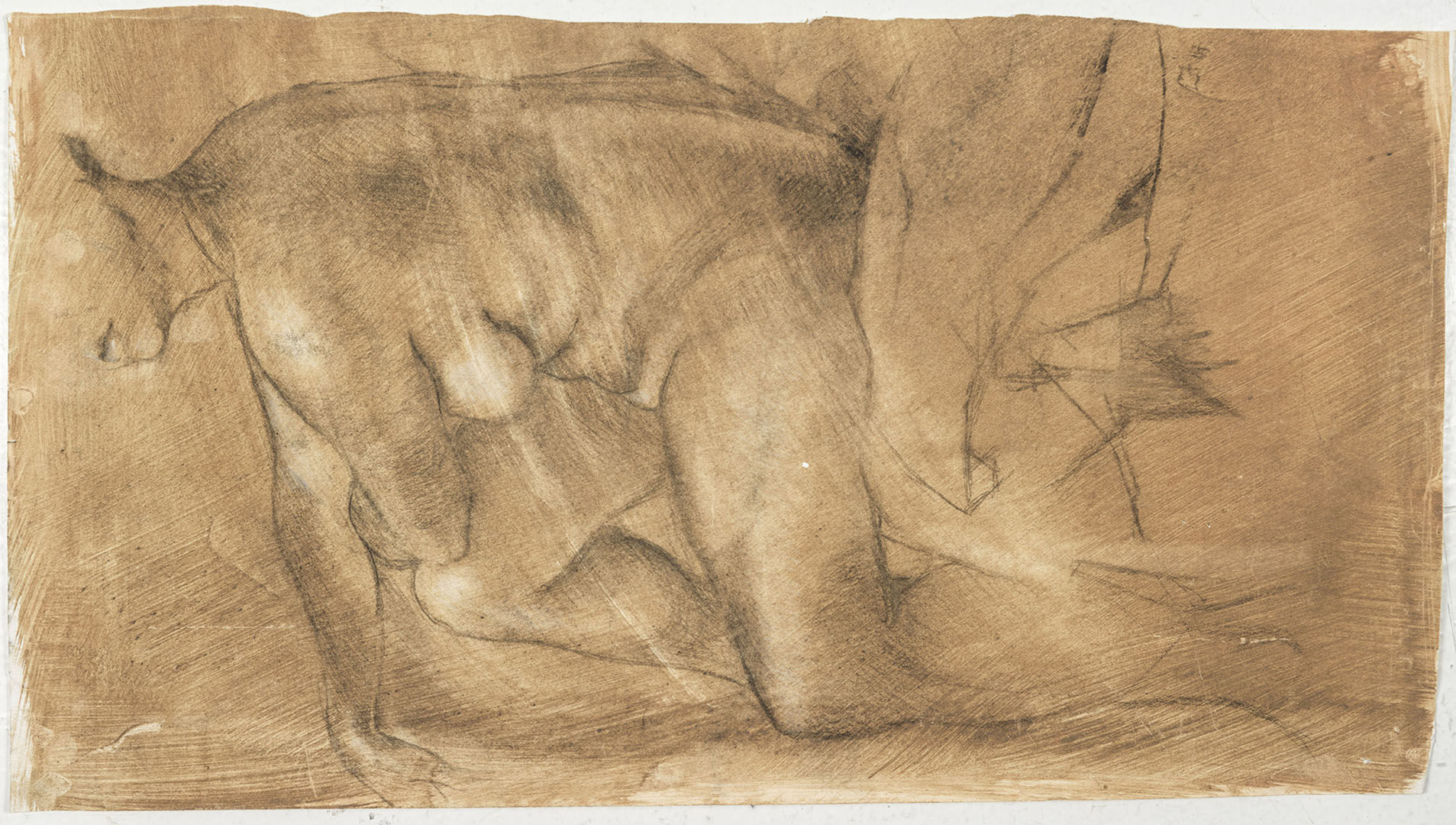 Dark Clay New, Sitting, Drawing by Louisa Forbes